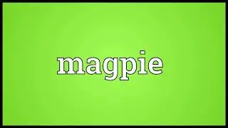 magpie meaning in English