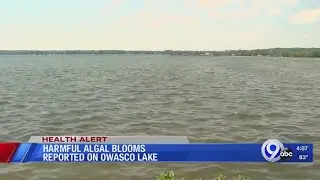 Harmful algal blooms reported on Owasco Lake