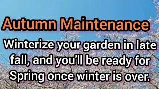 Fall Garden Maintenance▪️Winterizing