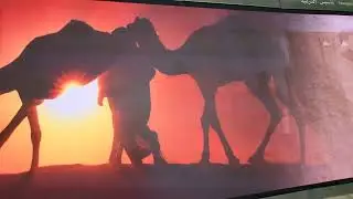 Al Turaif Heritage world Saudi Arabia
