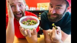 BUZZ BUTTON EXPERIMENTS!! | Mouth Electrifying Flowers!