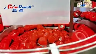 Trigger caps, pump cap car wax bottle automatic 2 head tracking capping machine for US customer