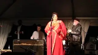 2013 Evansville River Basin Blues & BBQ Festival - Redd Velvet