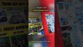 Экскурсии в Нячанге! Туристический экскурсионный автобус: маршрут и цены 🚌 #вьетнам #путешествия