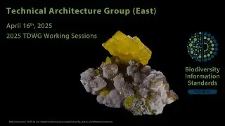 Technical Architecture Group (TAG) East meeting 2025-04-16