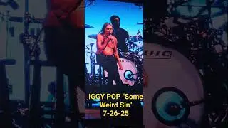 Iggy Pop  