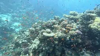 Шарм Эль Шейх Серия 3