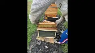 check a medium frame