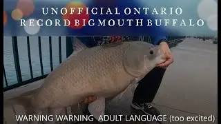 UNOFFICIAL ONTARIO RECORD BIGMOUTH BUFFALO