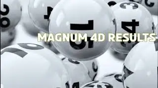 Magnum 4D Results