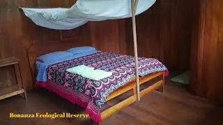 Manu National Park - Bonanza Ecological Reserve