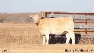 Lot 11 - Harvie Ms Miami 27N