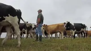 Nation in Conversation 2017 - Business Day TV Ep 4 - Dairy industry