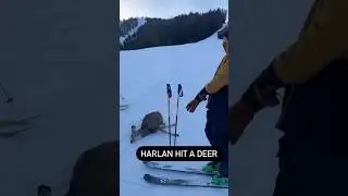 He Hit a Deer While Skiing #skiing