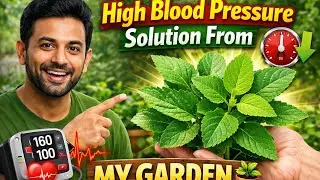 🌍&ldquo;High Blood Pressure Solution From My Garden 🪴