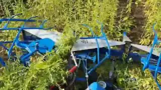 YAPEL &Ccedil;DG - 370 Makinemiz ile Susam Hasadı Video 1 - SUDAN 20.10.2016