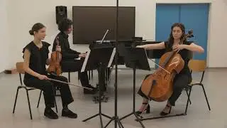 Youth Chamber Music Contest and Meeting - Trio Espansivo
