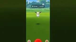 December community day Shiny Eevee✨ Pokemon Was Caught in Pokemon go