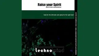 Raise Your Spirit: Dual Brain Stimulation