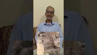 سوالف أبو حسن؛أحمد عالي (علي) عبدالله عالي يوسف حسين آل بو عالي