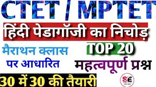 CTET 2021|CTET HINDI PEDAGOGY|HINDI PEDAGOGY FOR CTET|ctet marathon class|ctet preparation in hindi