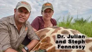 Help Us Celebrate World Giraffe Day
