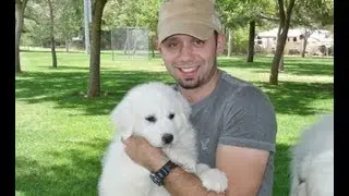Filming Animal Planet Too Cute Episode! Great Pyrenees Puppies