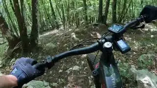 AA LINE - Il flow ripido di Monte Erbano 🌳⛰