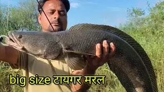 Snake hand and big size and double attack 🐸 Maral was hunted very well, it was made smaller once ...