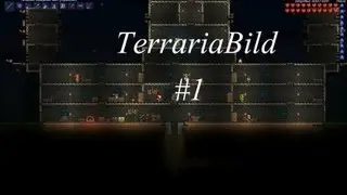 TerrariaBuild #1 [Крепость]