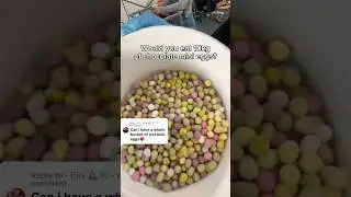 10kg of MINI EGGS (Are They Okay?!)