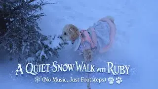A Quiet Snow Walk with Ruby ❄️🐾 (No Music, Just Footsteps)