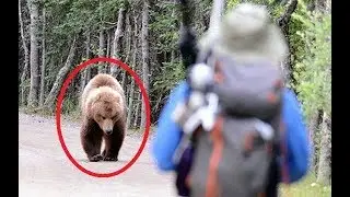 11 FEISTIEST Bears Ever