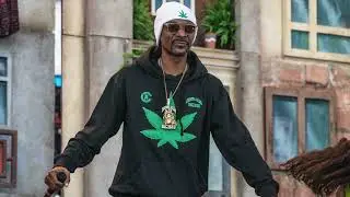 20 mins of Snoop Dogg Study Beats [Prod. SHAW]