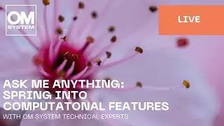 Ask Me Anything: Spring into Computational Features