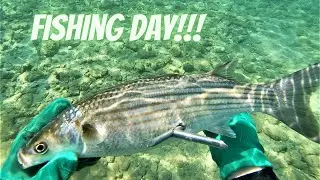 ΕΠΙΤΕΛΟΥΣ ΗΡΘΑΝ ΤΑ ΨΑΡΙΑ ΣΤΑ ΡΗΧΑ!!! / FINALLY FISH CAME IN SHALLOW WATER!!!