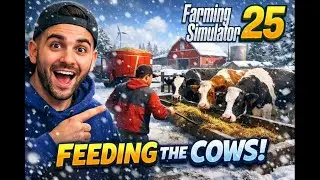 Preparing the cows for winter!!!