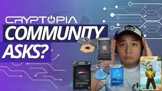 Cryptopia | Community Asks - What NFTs are inside Cryptopia?