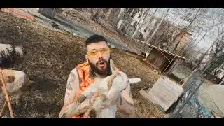 JACK OUT - COUNTRY LIFE