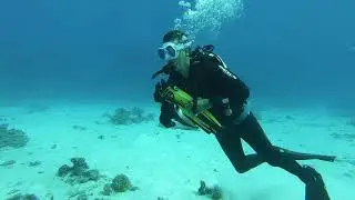 Egypt Safari 2019