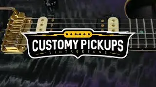 CUSTOMY EP humbucker set Zebra model