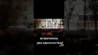 ДТП. встретились два одиночества #aktobe