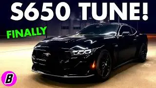 FIRST To Tune the S650 Mustang | Full Walkthrough