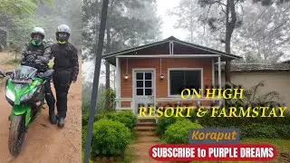 Onhigh Resort and Farmstay || Koraput || Offbeat Odisha 