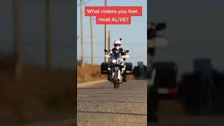 Feel Alive