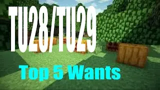 Minecraft Top 5 Wants For Tu28/Tu29