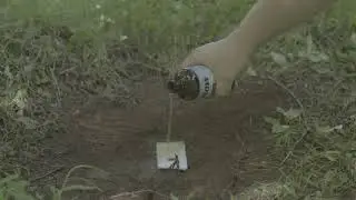 RAW MULTI BUCK URINE