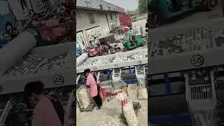 8 tons Garlic Grading Sizing Machine Supplier        #garlic #garlicmachine #agriculture