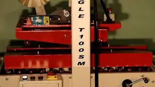 Eagle T100sm