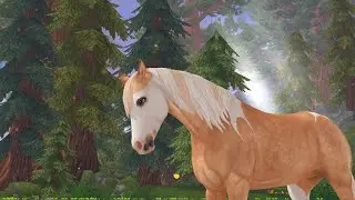 Star stable online - New birthday horse